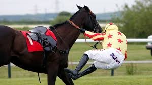 HorsesLove8's tweet photo. beautifull #horse
#horse
#animalsinchurcheshour 
#usa
#horses
#horselove
#horsesoftwitter
#Twitter #animalscanconsent  #AnimalCruelty #Horsepower #Housefull4 https://t.co/UN6PbkmBk2
