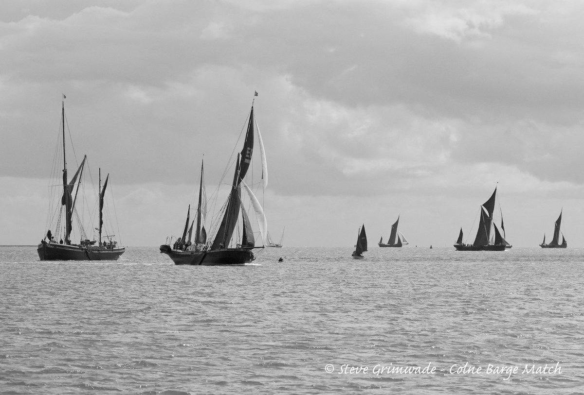 SwallowBirding's tweet photo. A few images from the Rivers Colne & Blackwater yesterday. @EssexBirdNews @thamesbarge #thamesbarge #topsailcharters https://t.co/jGHIIjYtiy