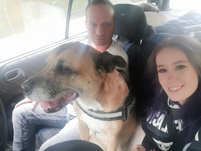 #smiley #family #dog #fun #funlife https://t.co/sLxilq51yM<a href="/tag/smiley"class="tags">#smiley</a><a href="/tag/family"class="tags">#family</a><a href="/tag/dog"class="tags">#dog</a><a href="/tag/fun"class="tags">#fun</a><a href="/tag/funlife"class="tags">#funlife</a>