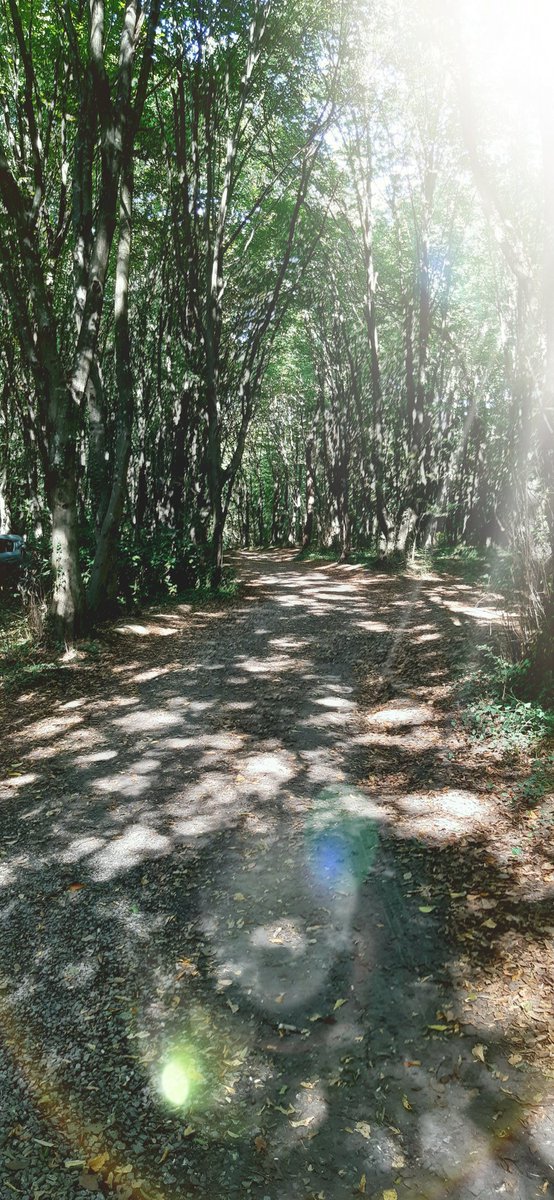 Aykut AY (@aykut_ay_) on Twitter photo 