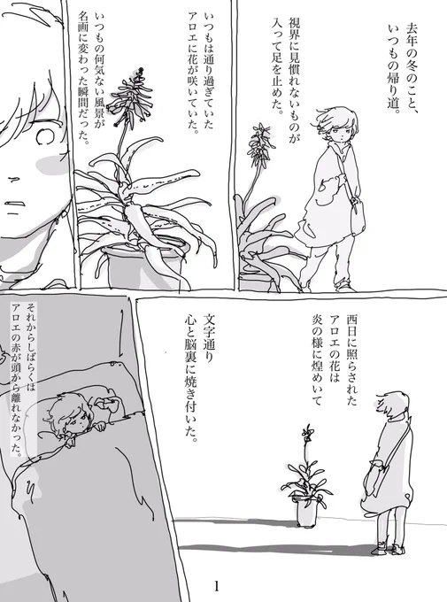 2019/09/08 Sun. アロエの花。
#ディコトマ #ラモシシマ #砂滑漫画 