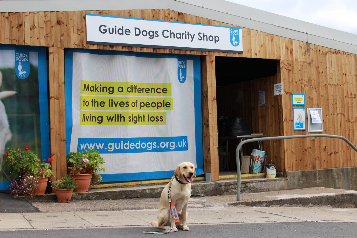 guide dogs charity shop