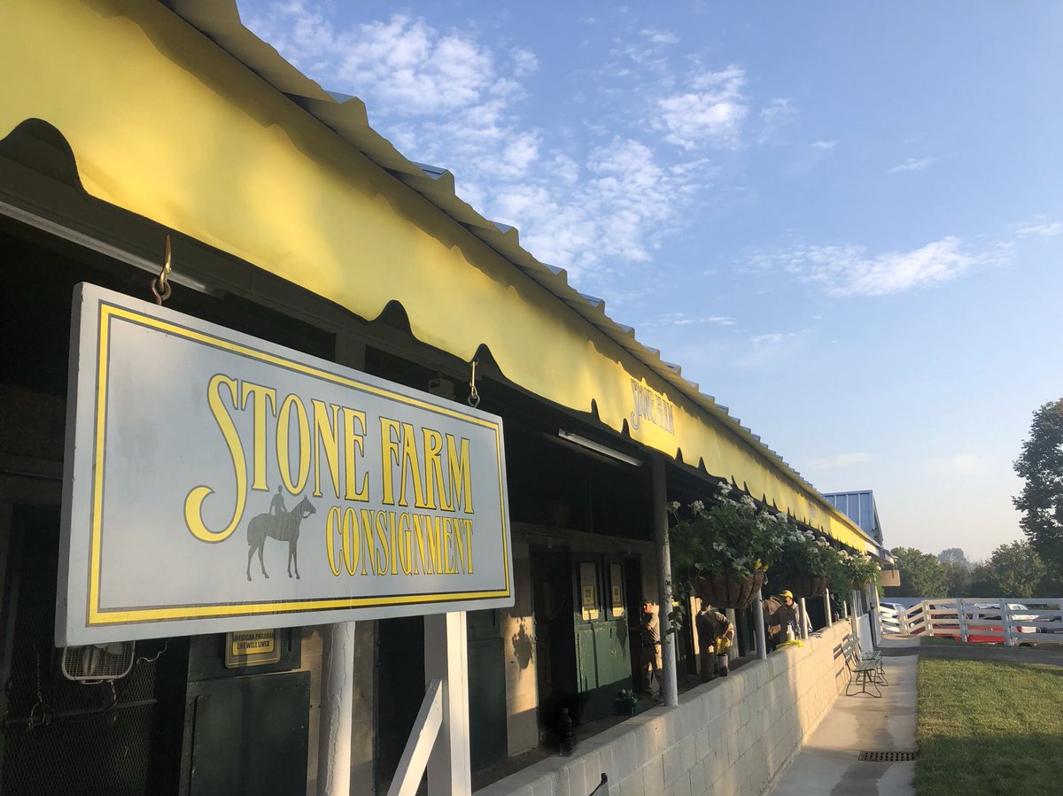 stonefarmky's tweet photo. Come see us at Barn 15! Throughout the September Sale, we have 27 yearlings on offer, represented by 24 stallions. #somethingforeveryone #weretryingtoraiseyouagoodhorse https://t.co/vmQwEAaXoD