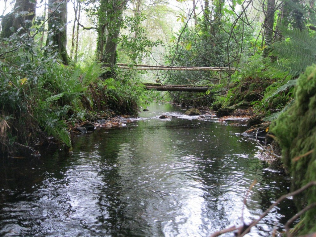 EPACatchments's tweet photo. Longford Demesne Wood, Sligo – an award-winning forest, protecting knowledge of our past for the future https://t.co/yEJDh55VUv https://t.co/S5ml244mcL