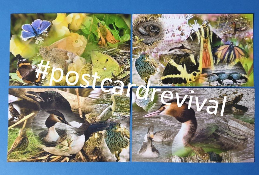Hi Everyone, I would be VERY Grateful for your help. Please Join my #postcardrevival #Facebook Group facebook.com/groups/postcar…
#postcrossing #postcrosser