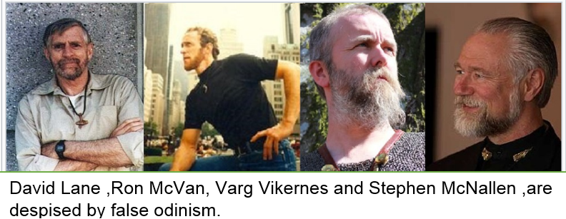 chinchilla rabbit (@rabbit_andes) | Twitter