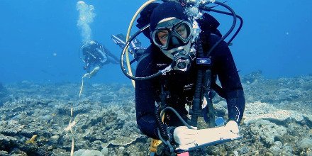 WomeninOceanSci's tweet photo. GOSer Rebekka is a #marinescientist and #diving instructor with an immense passion for the #ocean 🌊#girlsinoceanscience

Do you want to join the community? Click here: https://t.co/pykROc0dos 

|Photo by @rebekkapentti https://t.co/mE7WJr5NB3