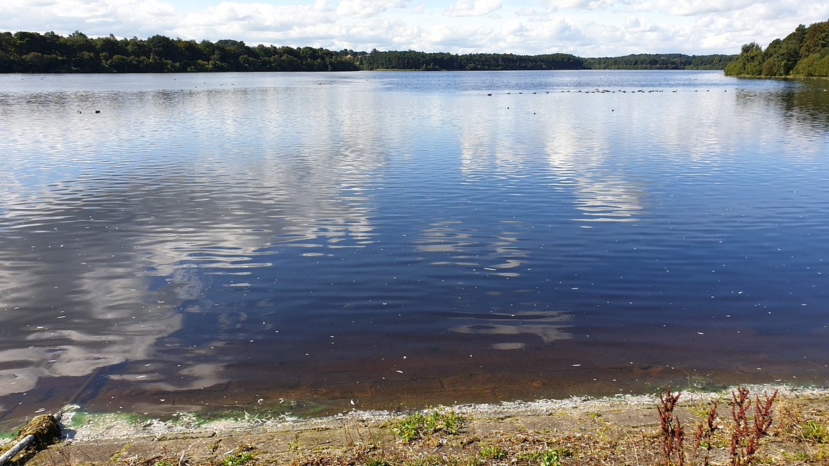 ChatterboxBK's tweet photo. A gorgeous September Sunday morning @YorkshireWater Eccup reservoir #buildingresillience #escape #outdoorspace #skylarks https://t.co/8QF5mYvYLd