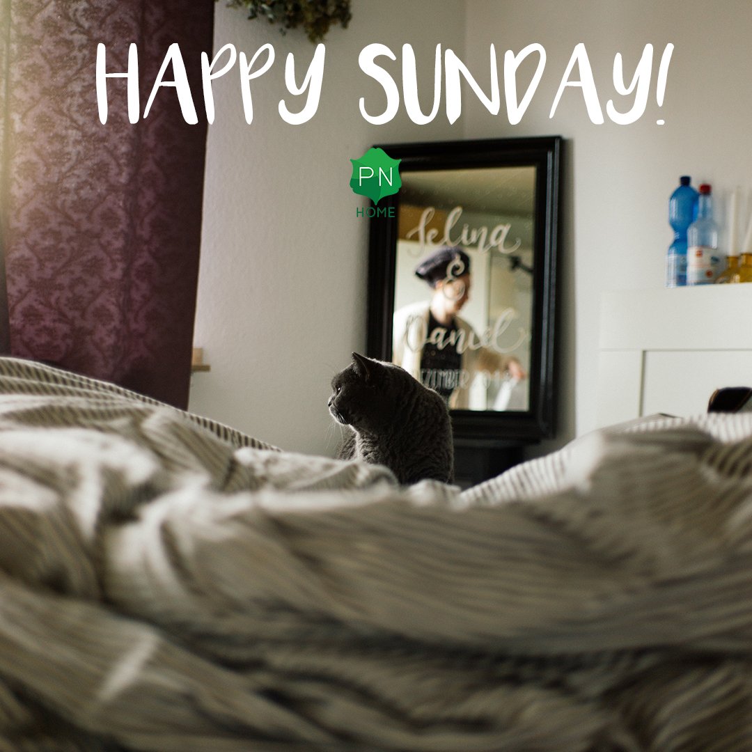 pnhome's tweet photo. Happy Sunday everyone! Hope you're having a smashing weekend!
π https://t.co/CRI4owJc31
#Eames #DSW #diningChair #InteriorDesign #InteriorBlogger #ScandinavianStyle #Scandinavian #Chair #HomeStyle #Interior #retrofurniture #Decor #Interiors #PNHome #MyPandN #Leicester https://t.co/mboV5YwOrd