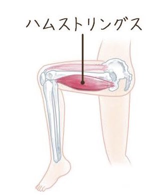 ____kopo's tweet photo. ここがねパァンってなったよ痛い痛い( ´•ᴗ•ก)💦 https://t.co/xXuxpSVWl6