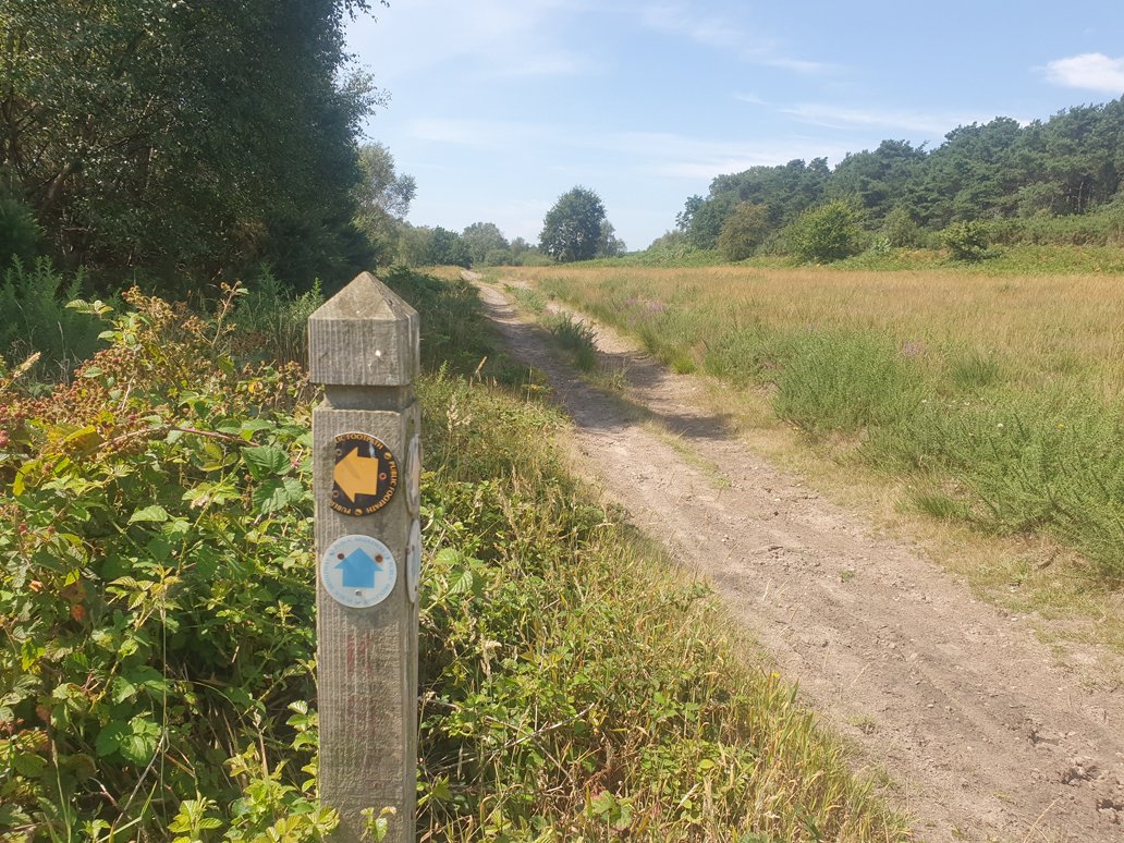 Join our free guided walk this week at #Chobham Place Woods on Wednesday 11 September at 10am.
The walk is 2.5 miles and ideal for new walkers or recovering from injury
More info at surreyheath.gov.uk/walks
<a href="/SurreyMatters/">SurreyMatters</a> <a href="/HealthySurrey/">Healthy Surrey</a> @ActiveSurrey <a href="/SurreyLife/">Surrey Life</a> <a href="/PedestriansWalk/">WalkingforHealth</a>