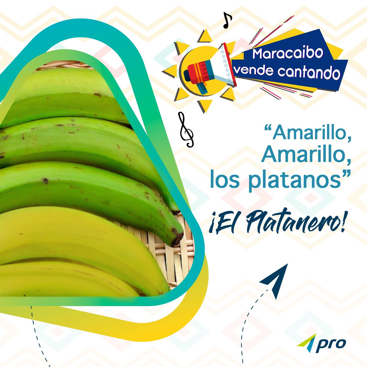 somosproaccion's tweet photo. El más popular de #Maracaibo, el platanero, quien recorría las calles de la ciudad pa’ que escogieras los plátanos que más te gusten. 
Amarillos, pintones y verdes, pa’ las friticas del #almuerzo 
¿Lo extrañáis? 
#490añoMaracaibo #Zulia #Vzla https://t.co/CHEajhEV1c