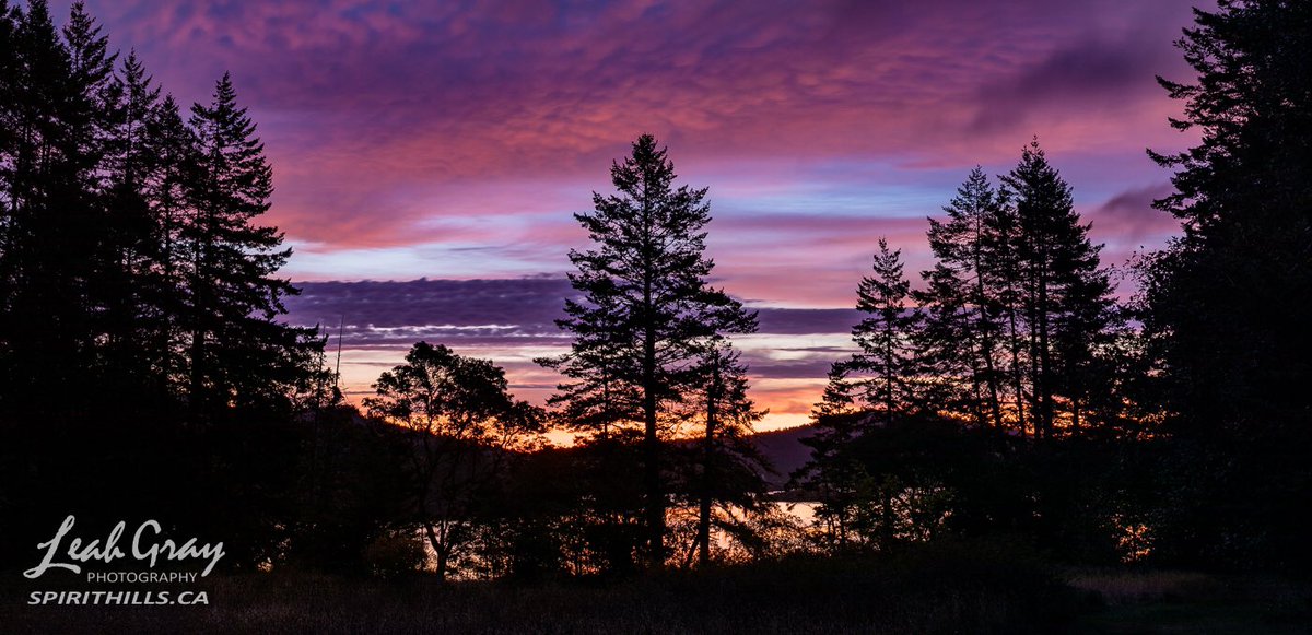 spirithills's tweet photo. Sunrise in East Sooke Park yesterday. Out last clear #sunrise for awhile... sigh... #yyj https://t.co/gVBr65Hk8I