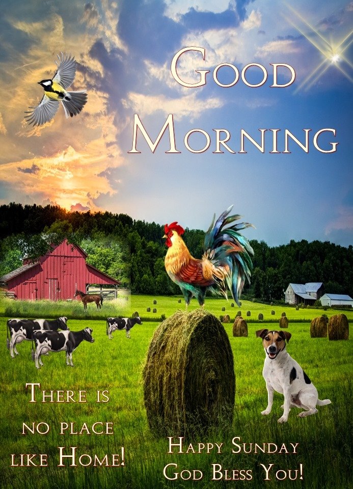 His Cornerstone Llc On Twitter Good Morning Happy Sunday I