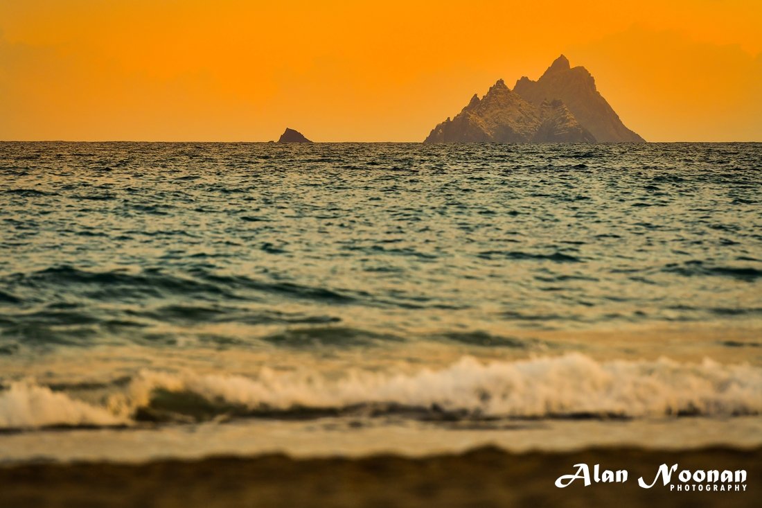 Alan Noonan Photo tweet media