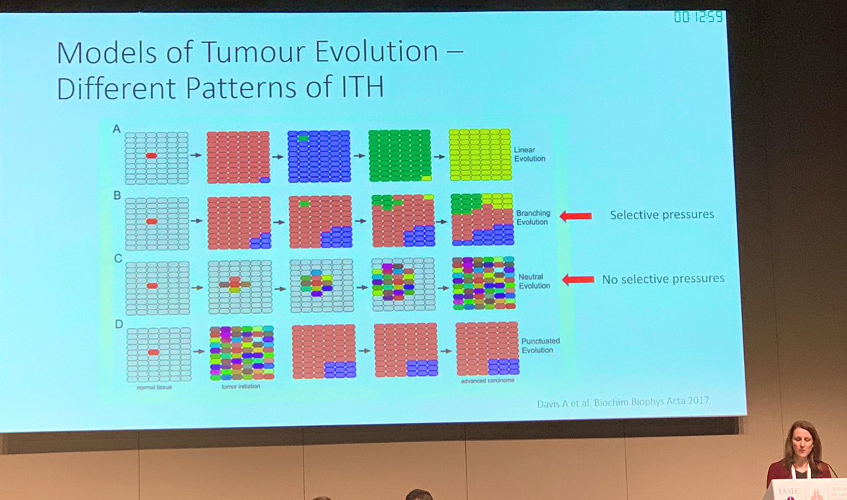 pathologist's tweet photo. Wendy Cooper flying the Pathology flag for Australia #WCLC2019 https://t.co/L2JzXHodm1
