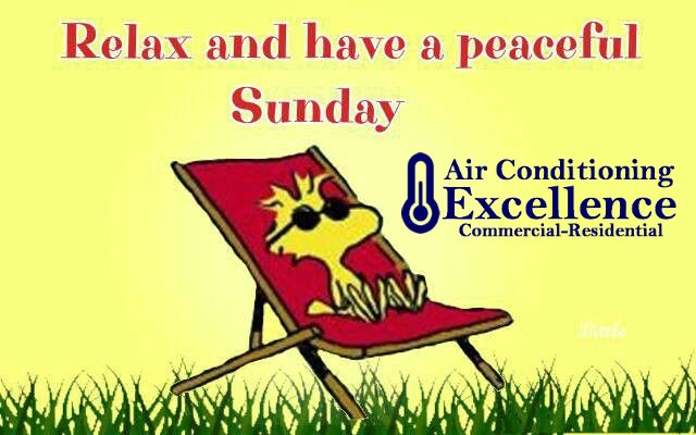 AcExcellence's tweet image. Happy Sunday!!! If you have any issue with your #ACUnit RELAX!!! We qork today (954) 368-0655 Acexcellence.com 

#ACExcellence #ac #acfix #repairs #maintain #cooling #ventilation #insulation #airpurification #airpurifier #southflorida #ftlauderdale #westpalm #repair