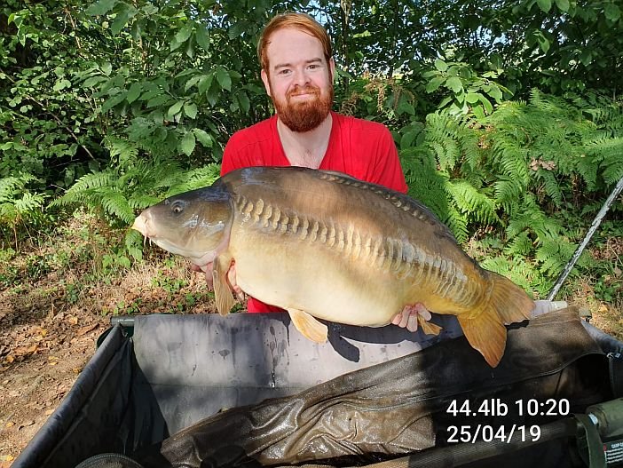 Genets Carp Lake tweet media