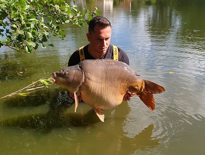 Genets Carp Lake tweet media