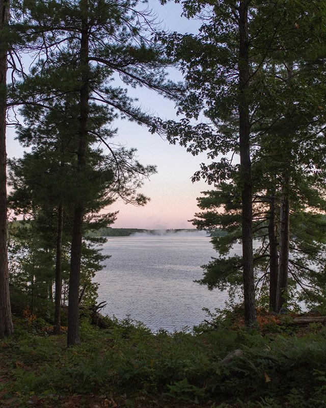 Only one week left in this beautiful place and my heart just isn’t ready to leave 💔
•
#awakethelight #botanicalpickmeup #ofsimplethings #gritandvirtue #plantlife #naturallyimperfect #mynaturestory #plantsmakepeoplehappy #the_gentle_manifesto #mountai… ift.tt/2ZXJS5h