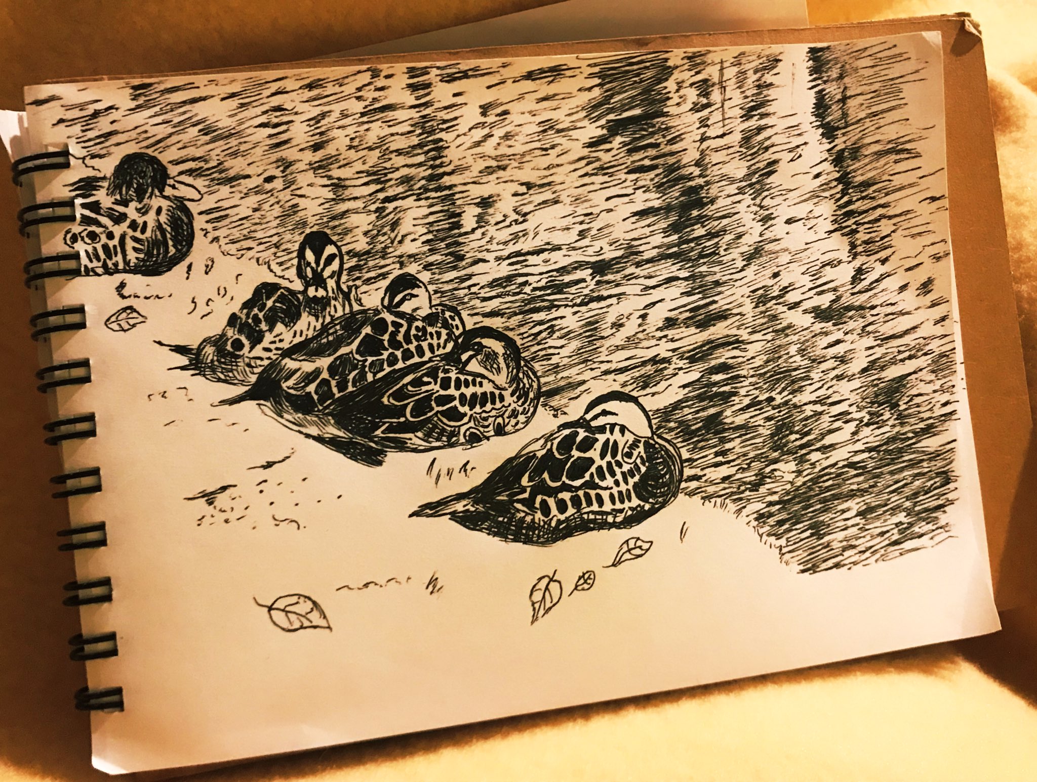 Yuki Kodaira イラストレーター A Twitter 暇なのでクロッキー帳に描いてみました 旅先なので黒ペン 塩沢湖の大福みたいなカモの陳列 イラスト アナログ画 イラスト好きな人とつながりたい イラスト好きさんと繋がりたい 動物イラスト イラストレーション