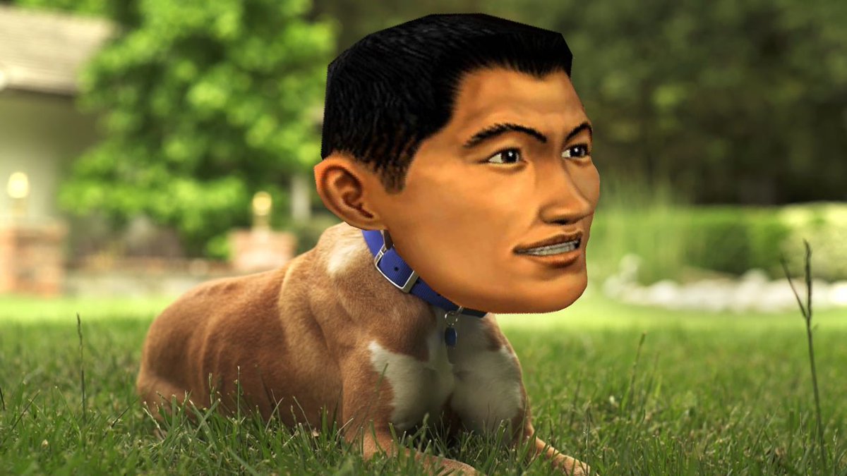 _Lan_Di_'s tweet photo. Call to your pet using 'Fuku-san' instead of it's real name and see how well it reacts. I've tried this on many animals and they all respond instantly and seem quite pleased to be called Fukusan. https://t.co/QjtKwVEPvs