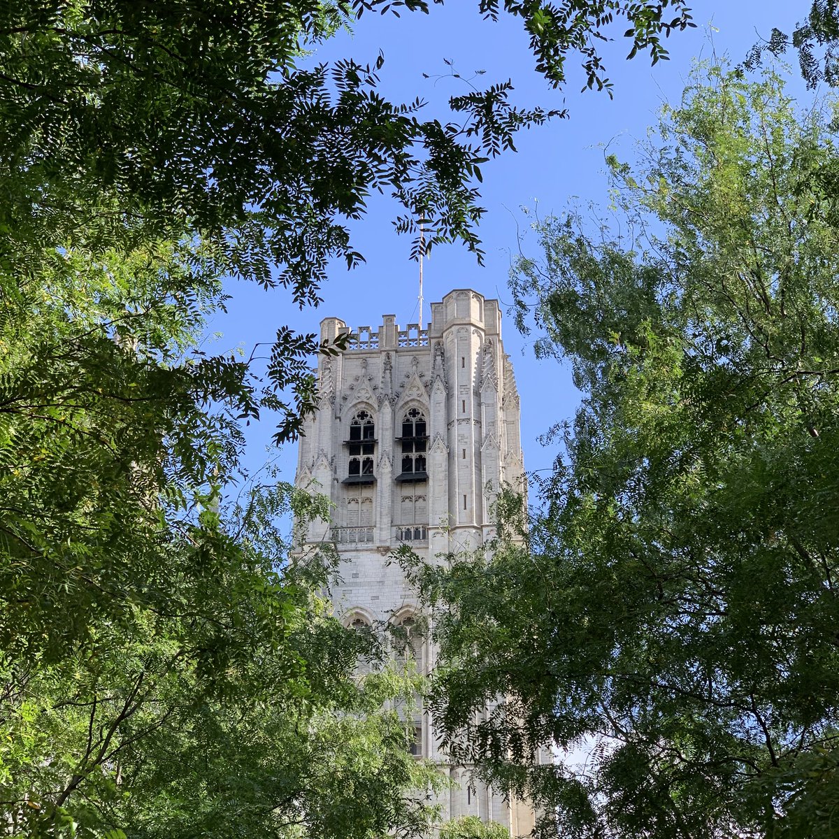 tomlangan's tweet image. Completely surprised at how gorgeous #Brussels is. A great place to potter around in. #Eurostar25