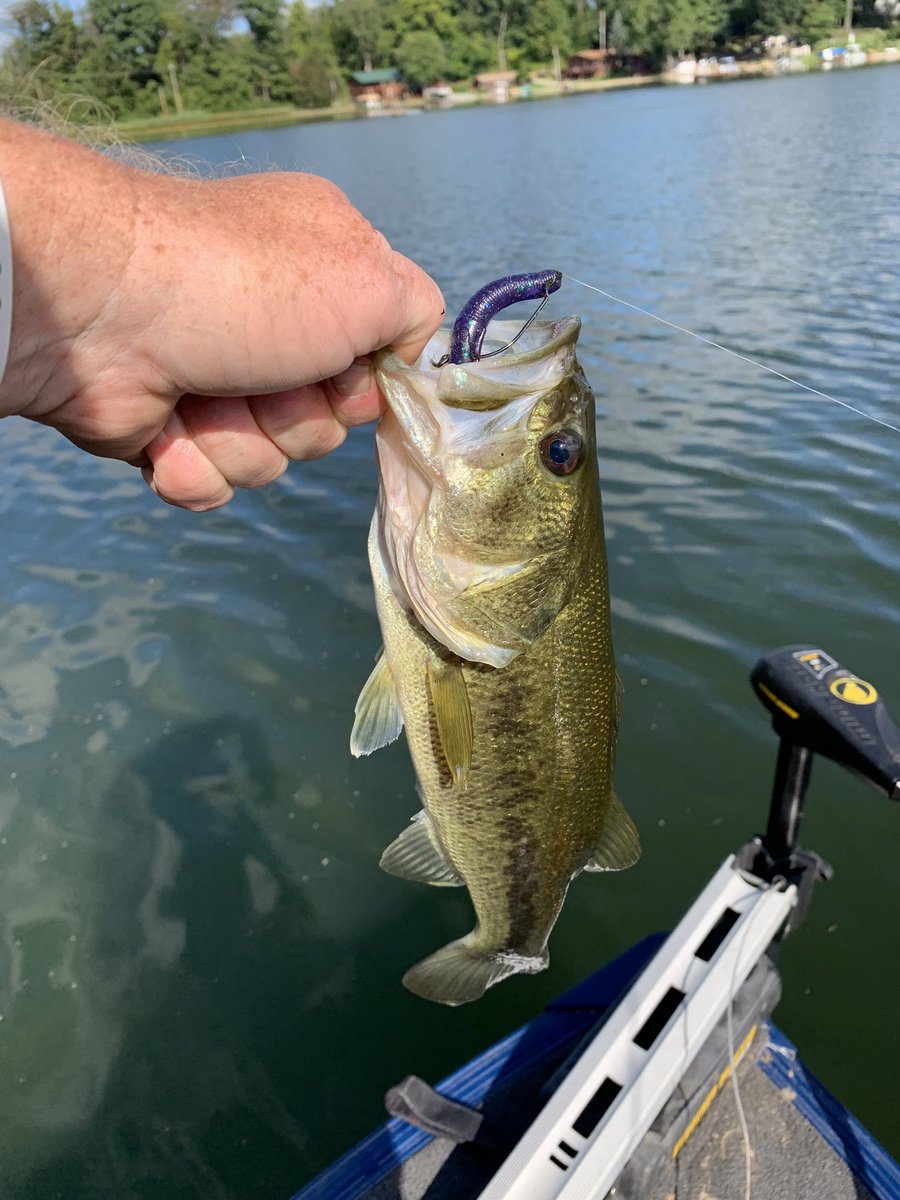 Mike 🇺🇸🇺🇸⚾️ tweet media