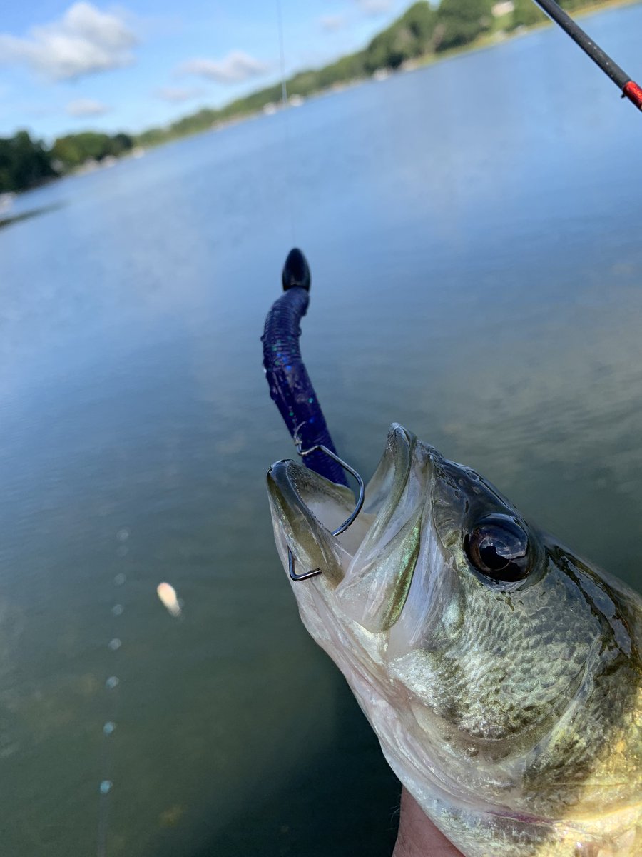 Mike 🇺🇸🇺🇸⚾️ tweet media