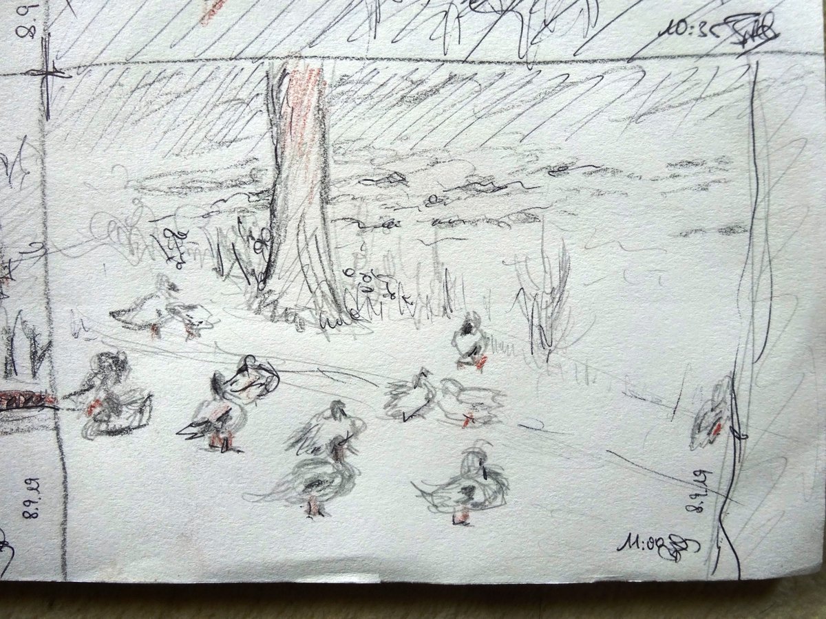 bag_finearts's tweet photo. Der erste #Sonntagsrundgang "#Scribbeln" - ein leicht nebliger Morgen zwischen #Kunstschule + #Marina, #BadEssen. Und immer wieder lugt der Kirchturm herüber. Für jede Skizze gibts max. 10 min Zeit, um die schnelle Auffassungsgabe und die eigene Handschrift kennen zu lernen. https://t.co/6ZCFiWvG0L