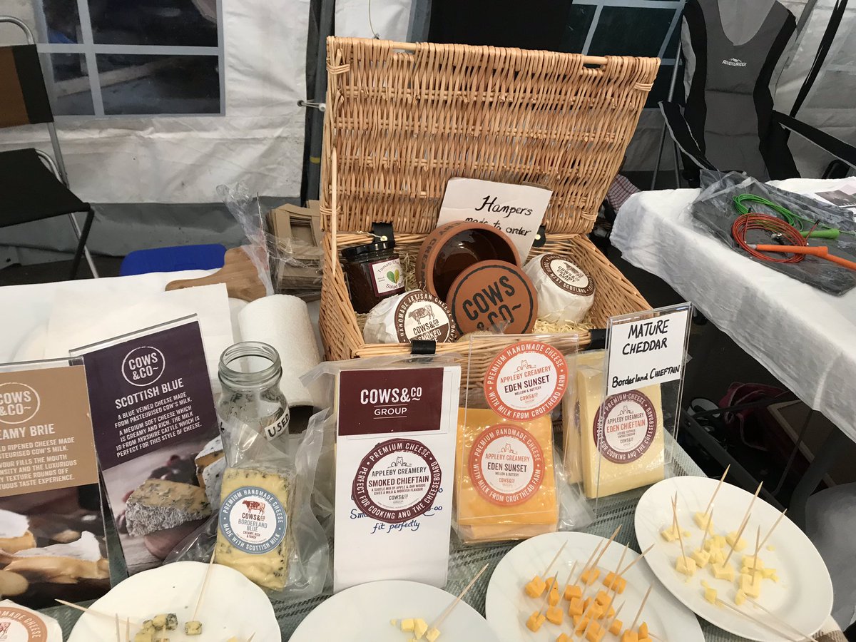 Kidding Around Solway tweet media