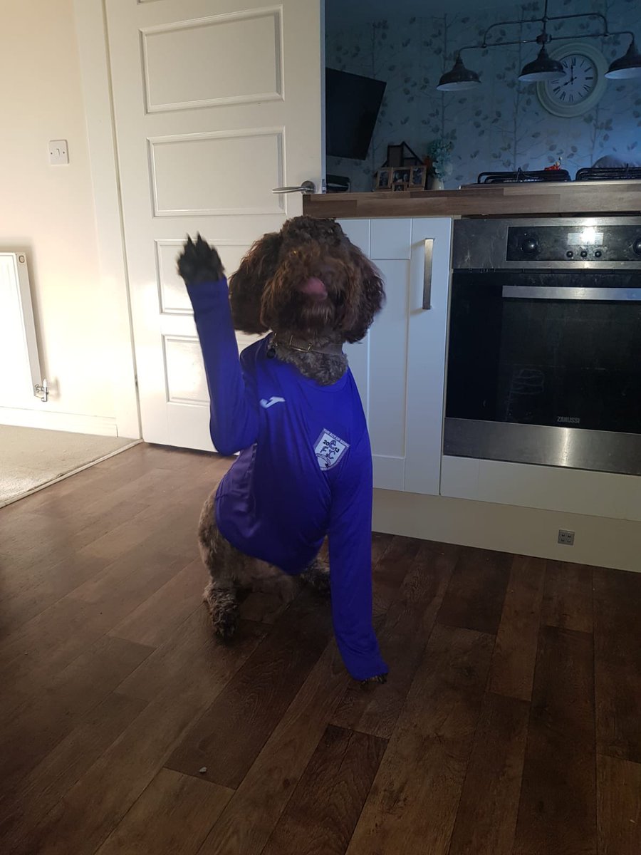 EspialFC's tweet photo. Baxter is supporting our teams this season #espialfc #purples #respect #grassroots https://t.co/DGkbm9ulUQ
