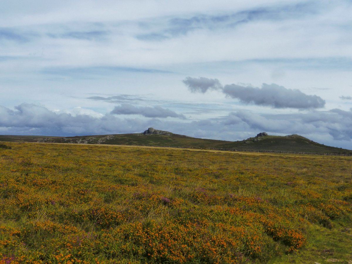 ianmurrain's tweet photo. #Dartmoor.
#Haytor Rocks and #Saddle #Tor from #Toptor https://t.co/OasUHqap3o