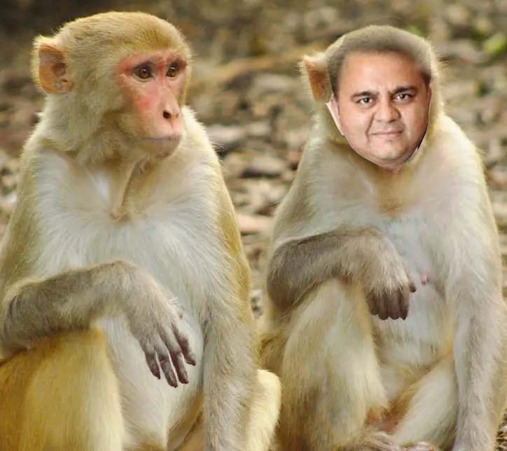 yashrazz's tweet photo. @fawadchaudhry Pakistan ke 2 Mashoor Scientist .. Chanderyan Ke Bare Apni Agli Staement Dene ki Taiyari Men Jute https://t.co/7MW0m8UaET