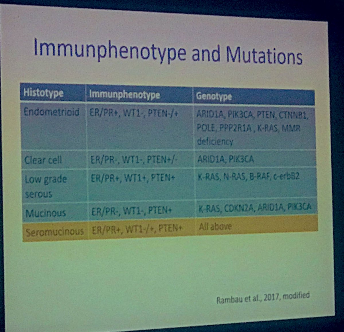 #ECP2019Nice #ECPNice2019 ovarian mucinous tumors