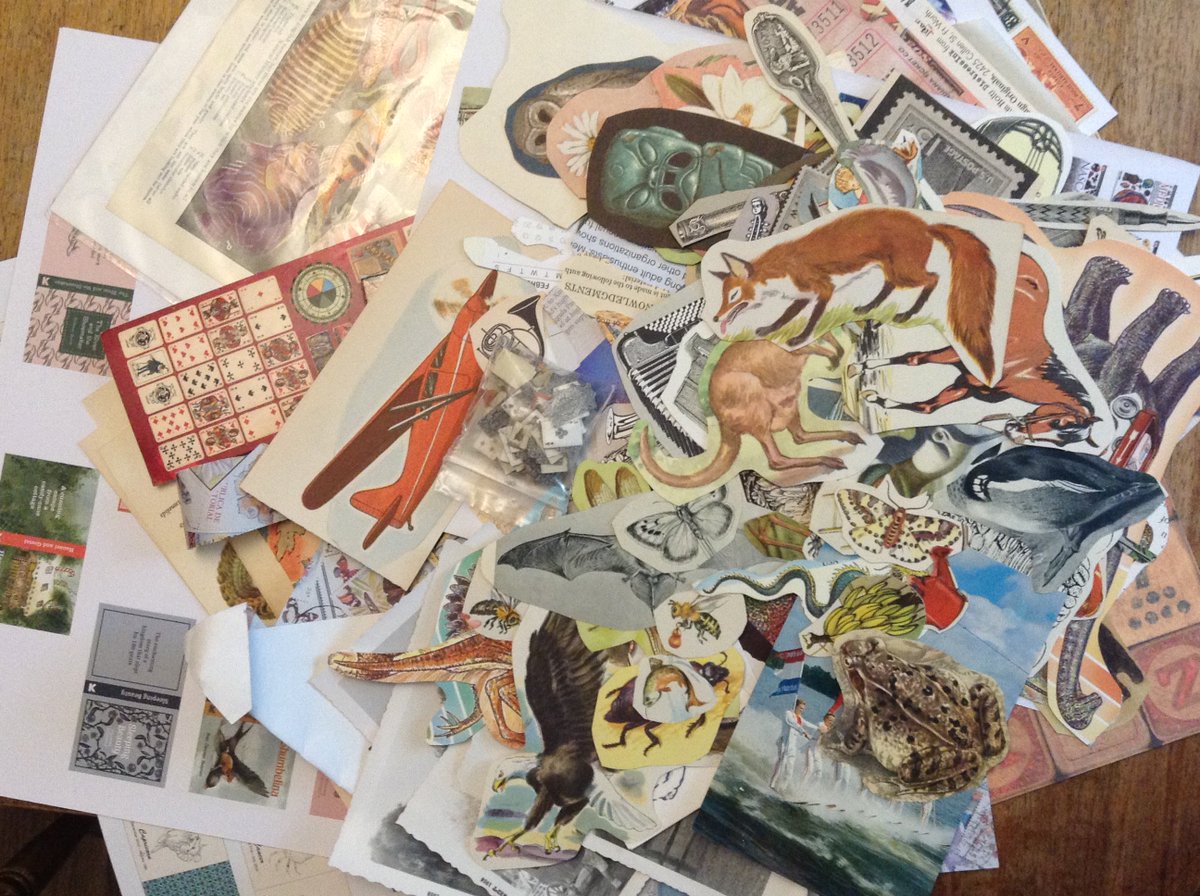 strvngrtst's tweet photo. Love #ephemera for it's #nostalgic charm &amp; mysterious past- a glimpse into another's life via a #postcard, or knwldge that someone else loved &amp; cherished a #book. happy to've collected &amp; prepared most of what was listed 😊🎹🎨 @CameronVillage @CMSRaleigh #SecretsAndJewels #piano https://t.co/AkRl8dVhsT