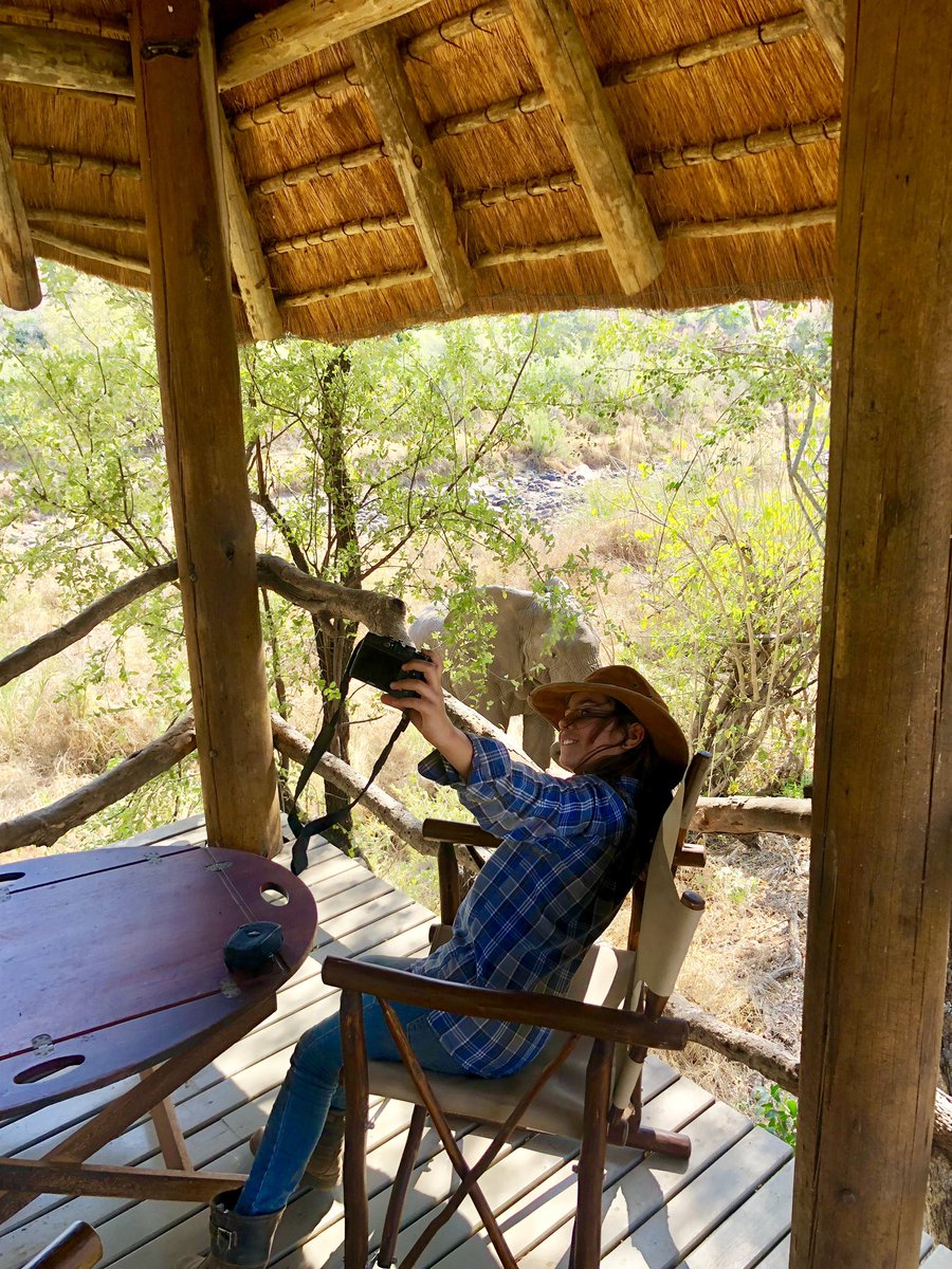 When you take your #kids to the #bush and you found them taking a selfie with an #elephant in the background? #tororiverlodges #takeyourkidonsafari #safarilife #happysunday #riverview #safari #wildlifeexperiences #FelizDomingo #Africa #adventure #bush #ChildrenInTheWilderness