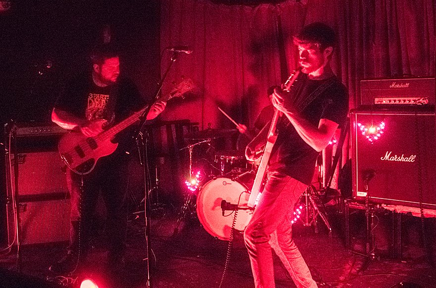 PunkBlowfish tweet media