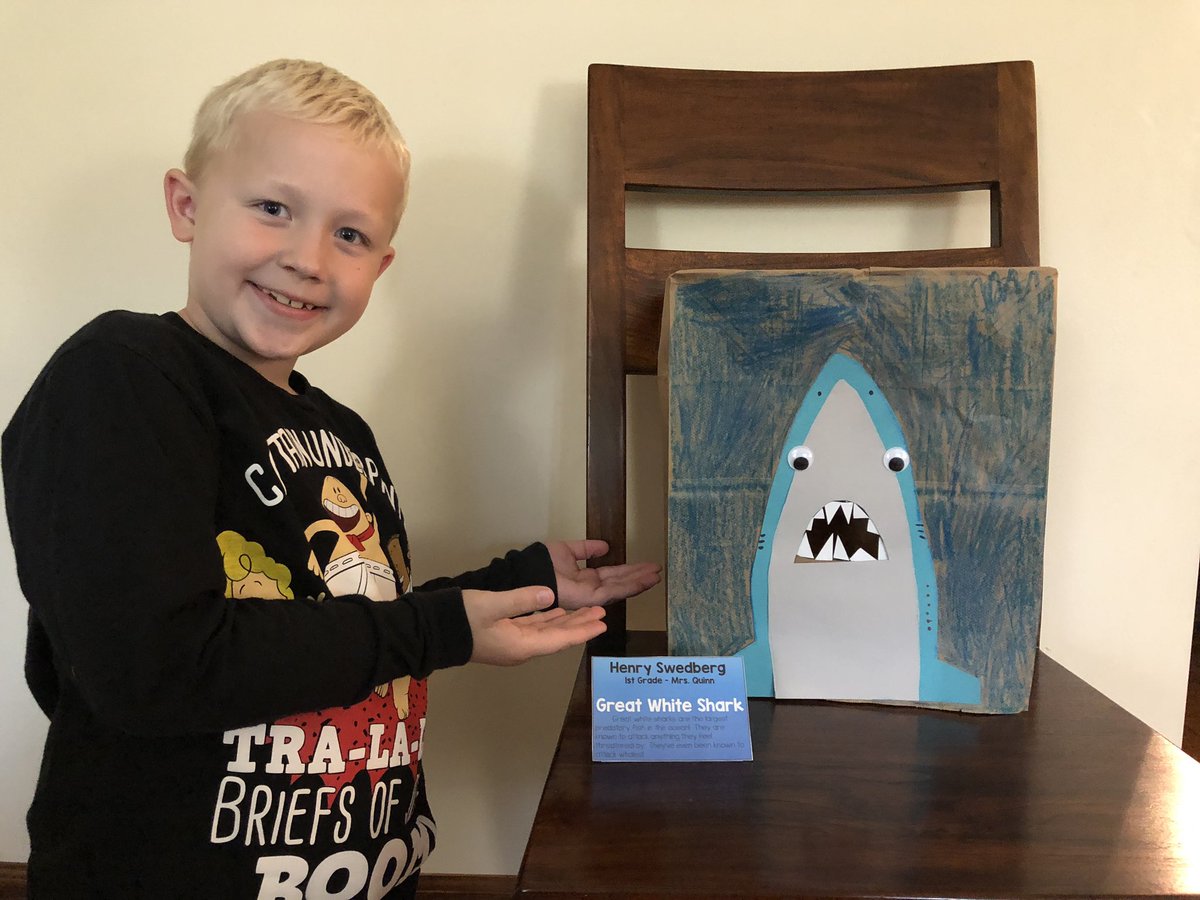 SwedbergsRead's tweet photo. #BeebeSchool is reading @Jess_Keating’s Shark Lady The True Story of How Eugenie Clark Became the Ocean’s Most Fearless Scientist as it’s #OBOS. 👩🏻🔬🦈 Henry was pretty pumped to create his own shark to display in the LC with @beebegoffK5! #BeebeReads 📚 https://t.co/55gmE48WFE