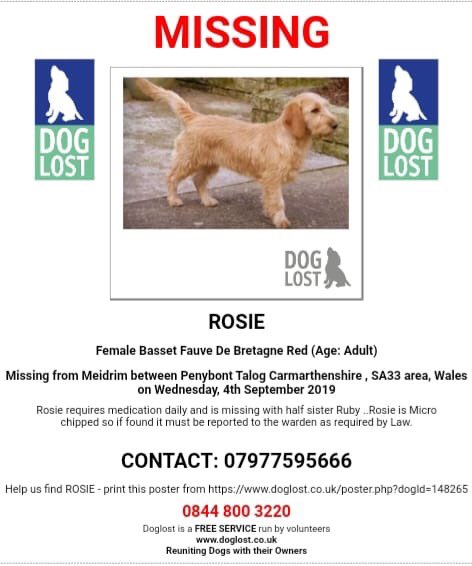 rosiedoc666's tweet photo. ❗ROSIE #MISSING NEEDS MEDS❗💥#MEIDRAM #PENYBONT TALOG AREA #CARMARTHENSHIRE #SA33 #WALES 💥 Since 4th Sep ..
Also missing with Rosie is her half sister Ruby . Both are Micro chipped so please look out for these gorgeous girls .
https://t.co/fZCUu9J0LH
https://t.co/l8F3TGoMeF https://t.co/lIH87k3aRl