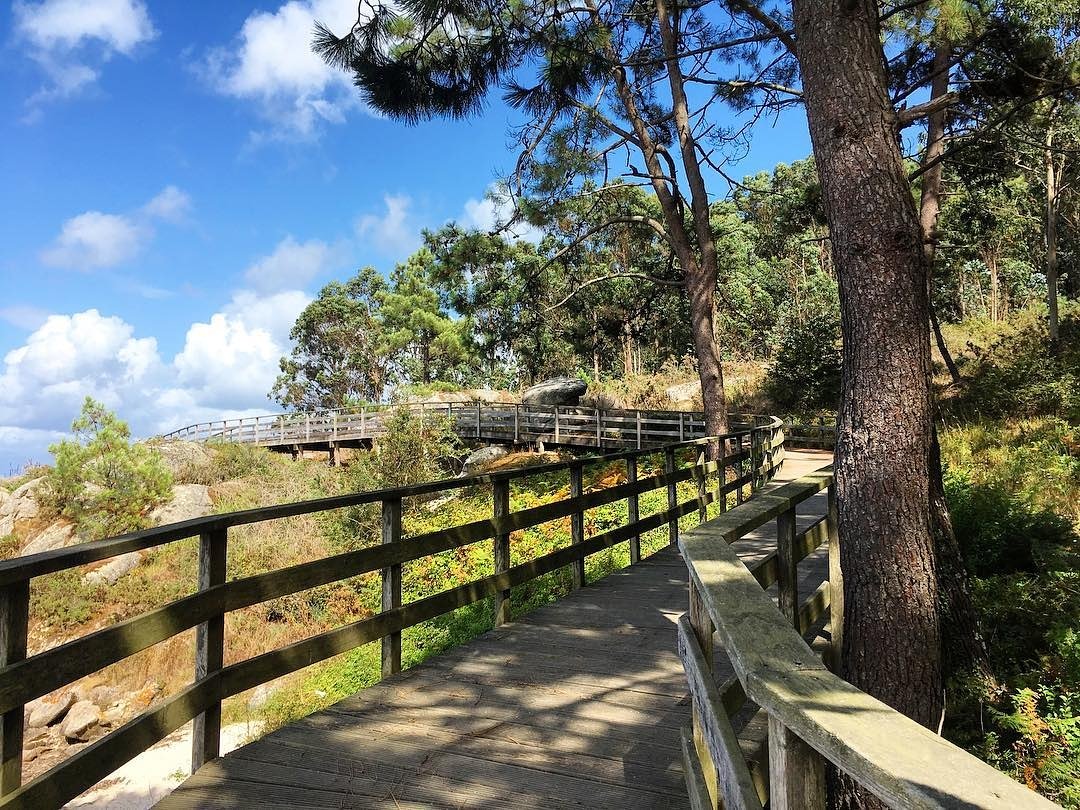 ailladearousa's tweet photo. A Illa de Arousa by AsmiriamOjeda (Instagram)
• • • • • •
#illadearousa #faro #galicia #paseocostero #bosque #mar #naturaleza #lailla #isladearosa #arosa #nature #walkingaround #summertrip #coastwalk #woods #ocean #spain #lighthousewalk
💙 #TúEresPartedeAIlladeArousa https://t.co/ztOtIC4qay