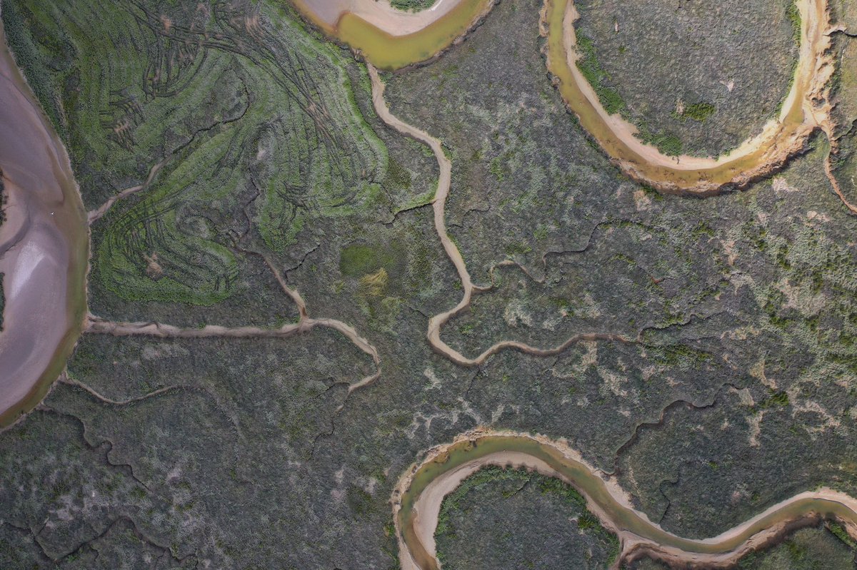 douggraphics's tweet image. Instantanés aériens d’un week-end en Baie de Somme #lecrotoy #baiedesomme #picardie