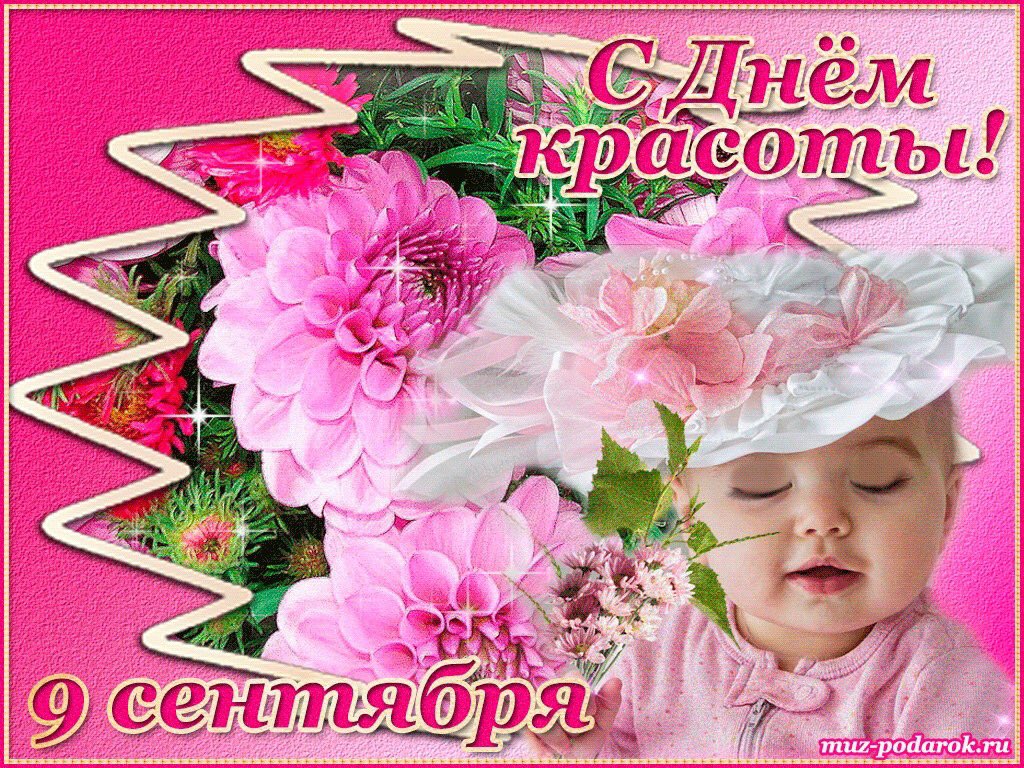 День красоты поздравление картинки, картинки нигеров