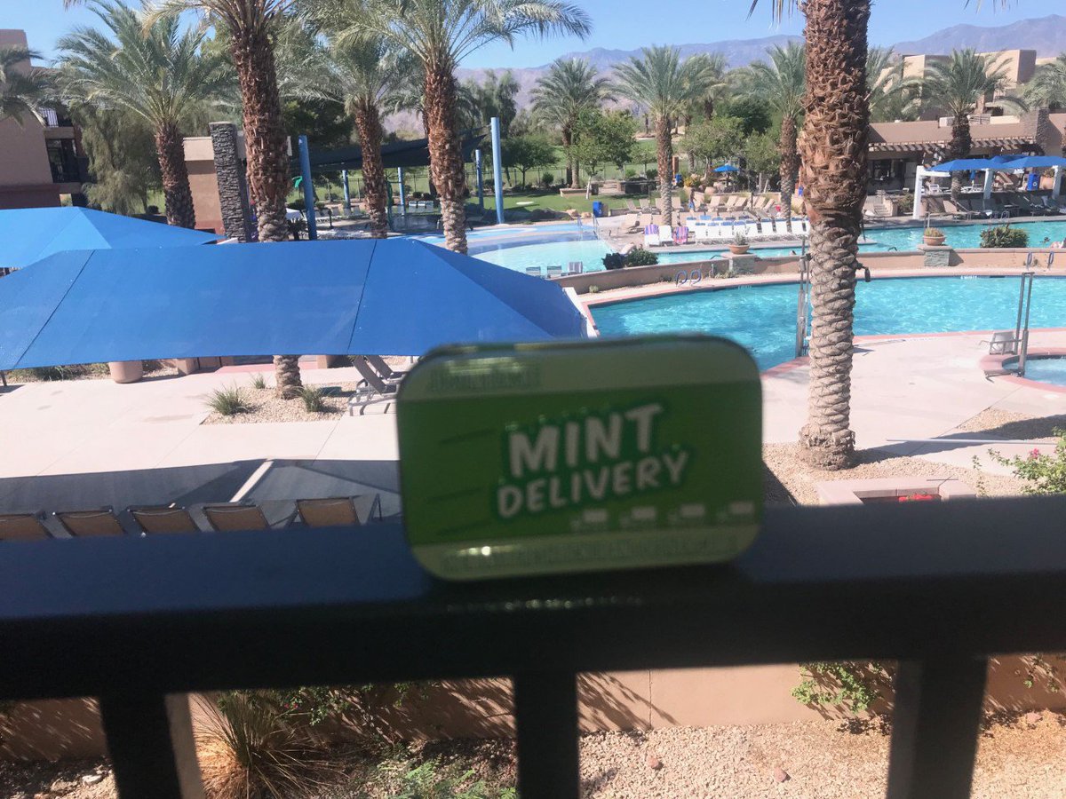 dastardlydesco's tweet photo. Brought Mint Delivery this trip. Excited for the @Kickstarter of Mint Cooperative on 9/9. Need another great Mint game for my backpack! @Five24Labs @JonGilmour @brianlewisgames #boardgames #minttingames #familygames https://t.co/Idh4keVf28