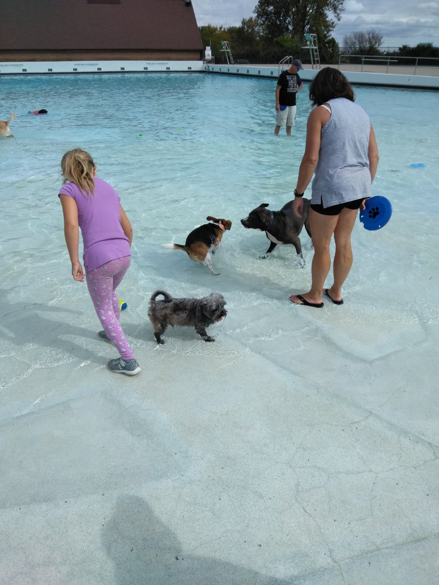 ORj1020's tweet photo. At da dog pool!!!! #Sprout #WetandCurly https://t.co/pvLVOTSkEc