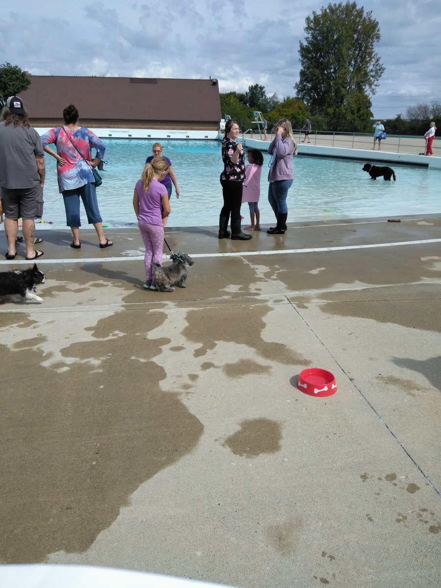 ORj1020's tweet photo. At da dog pool!!!! #Sprout #WetandCurly https://t.co/pvLVOTSkEc