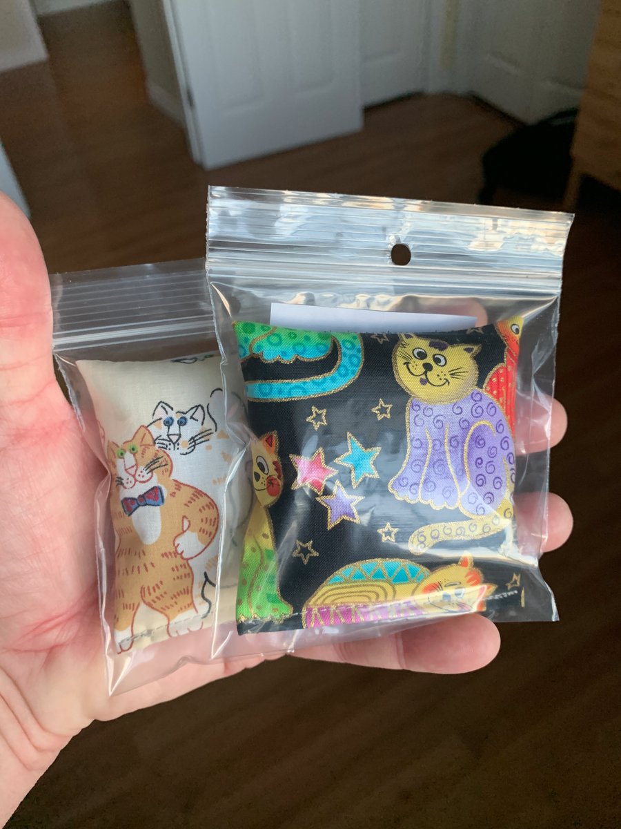 Riley_von_Pelt's tweet photo. Well look what Girl Two-Legged brought home. I wonder ... could it be time to welcome new cats into the house? Miss Riley and Oskar so much ... I hope they would approve. https://t.co/UlipQXGwEF