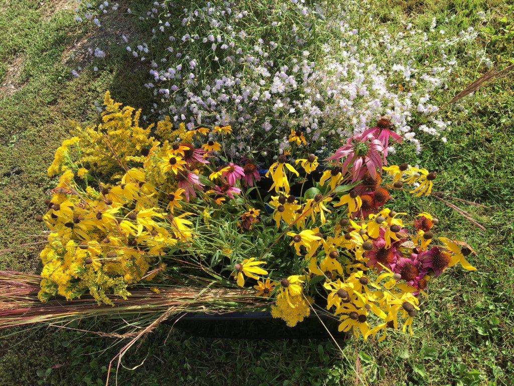 ProbstfieldF's tweet image. It’s Time For Sunday Supper! probstfieldfarm.org/2019/09/08/its…