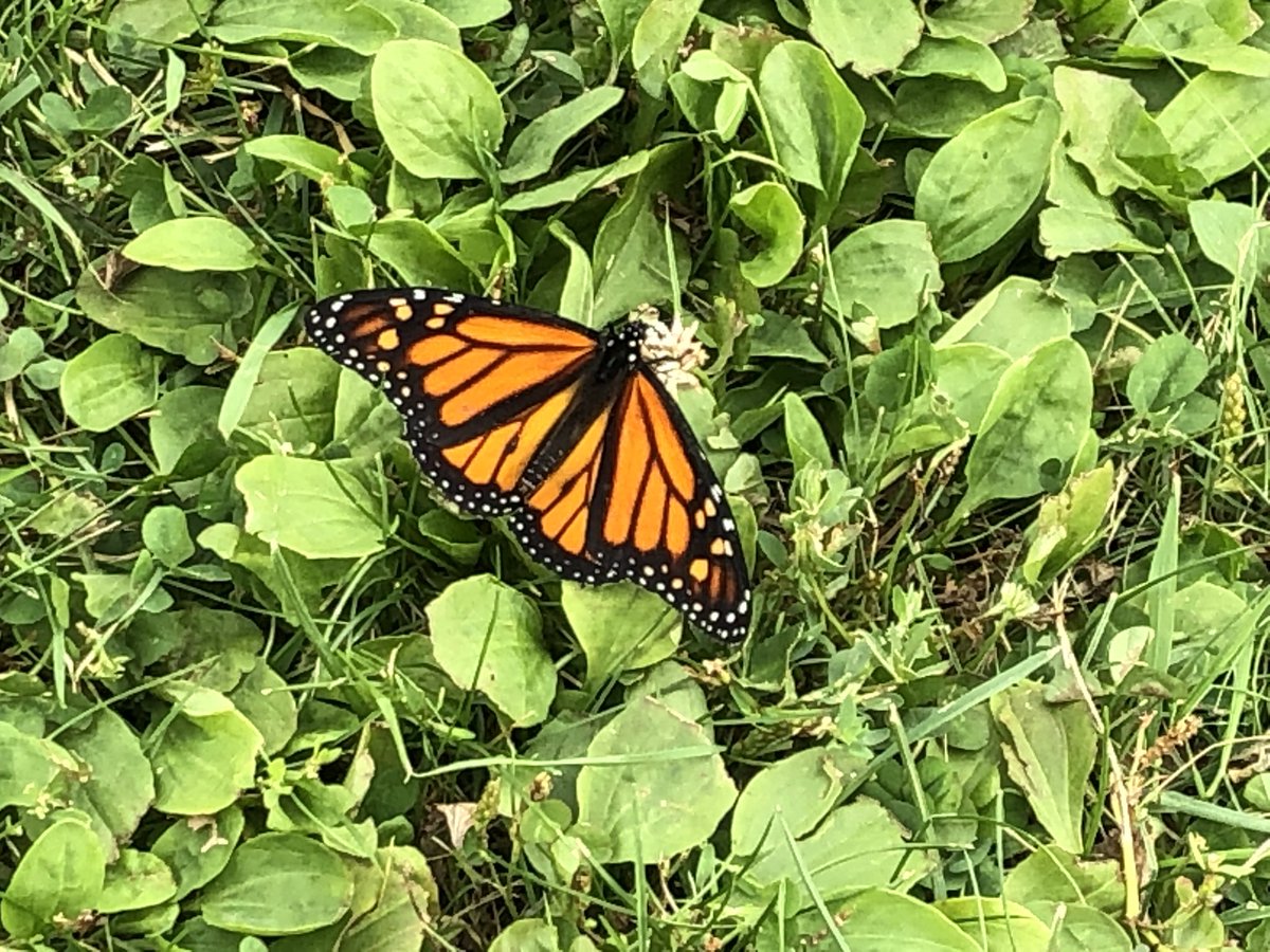 Rebecca Hahn tweet media