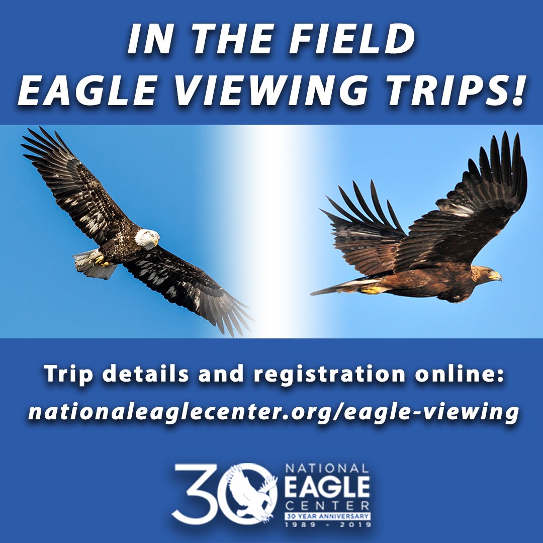 Nationaleaglecenter On Twitter 20192020 Eagle Field Trip